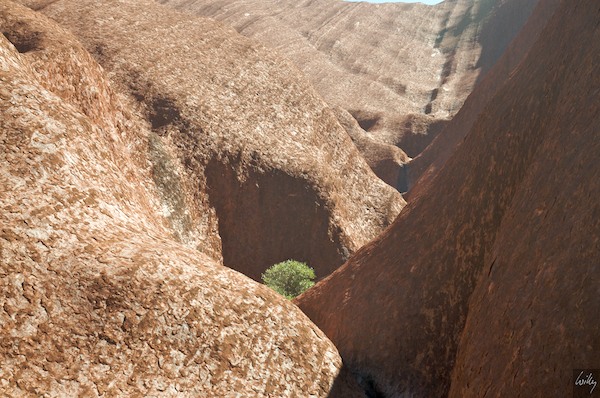 AustraliaAdelaide 10  126